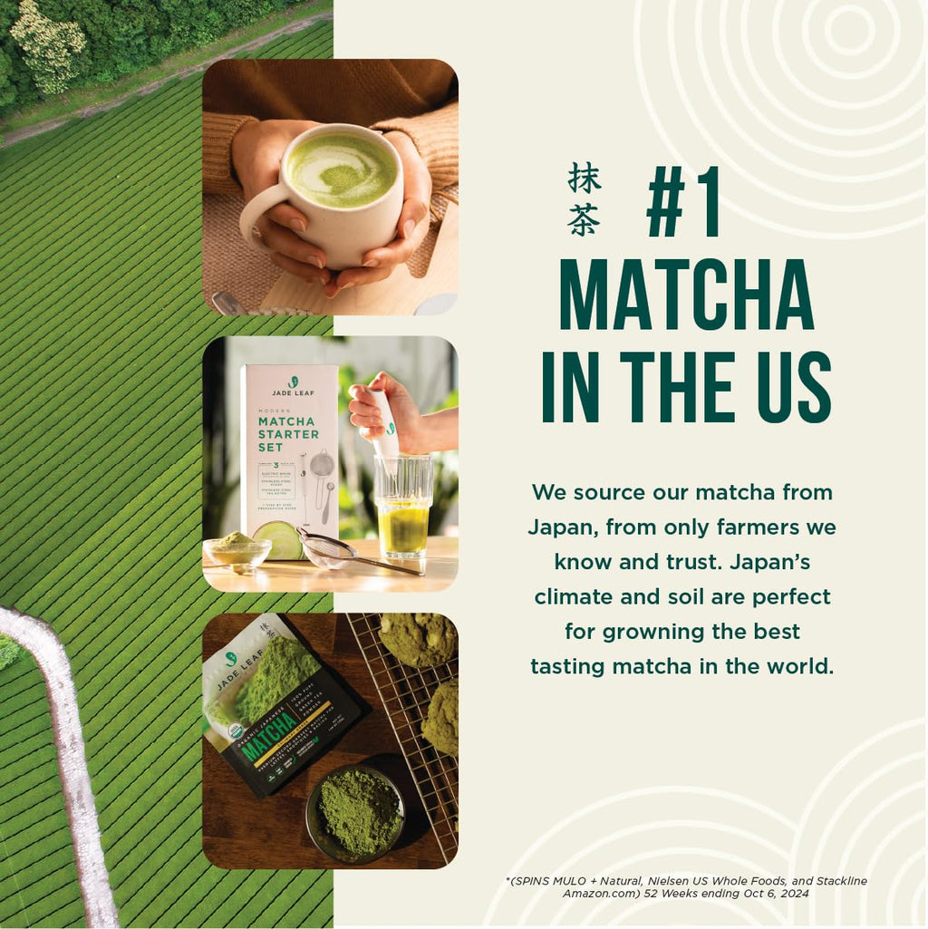 Japanese Matcha Powder