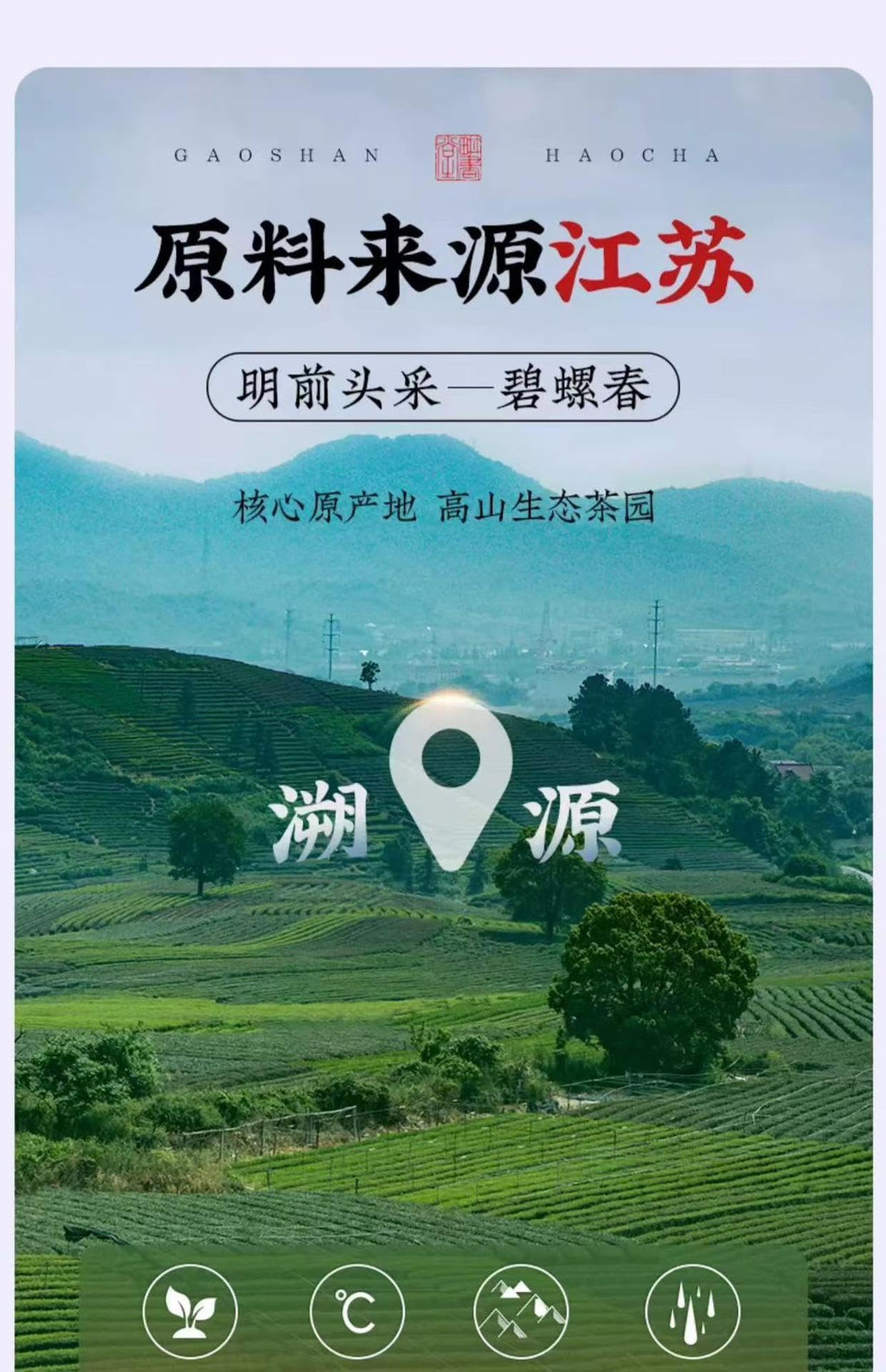 Chinese green tea,white tea,black tea