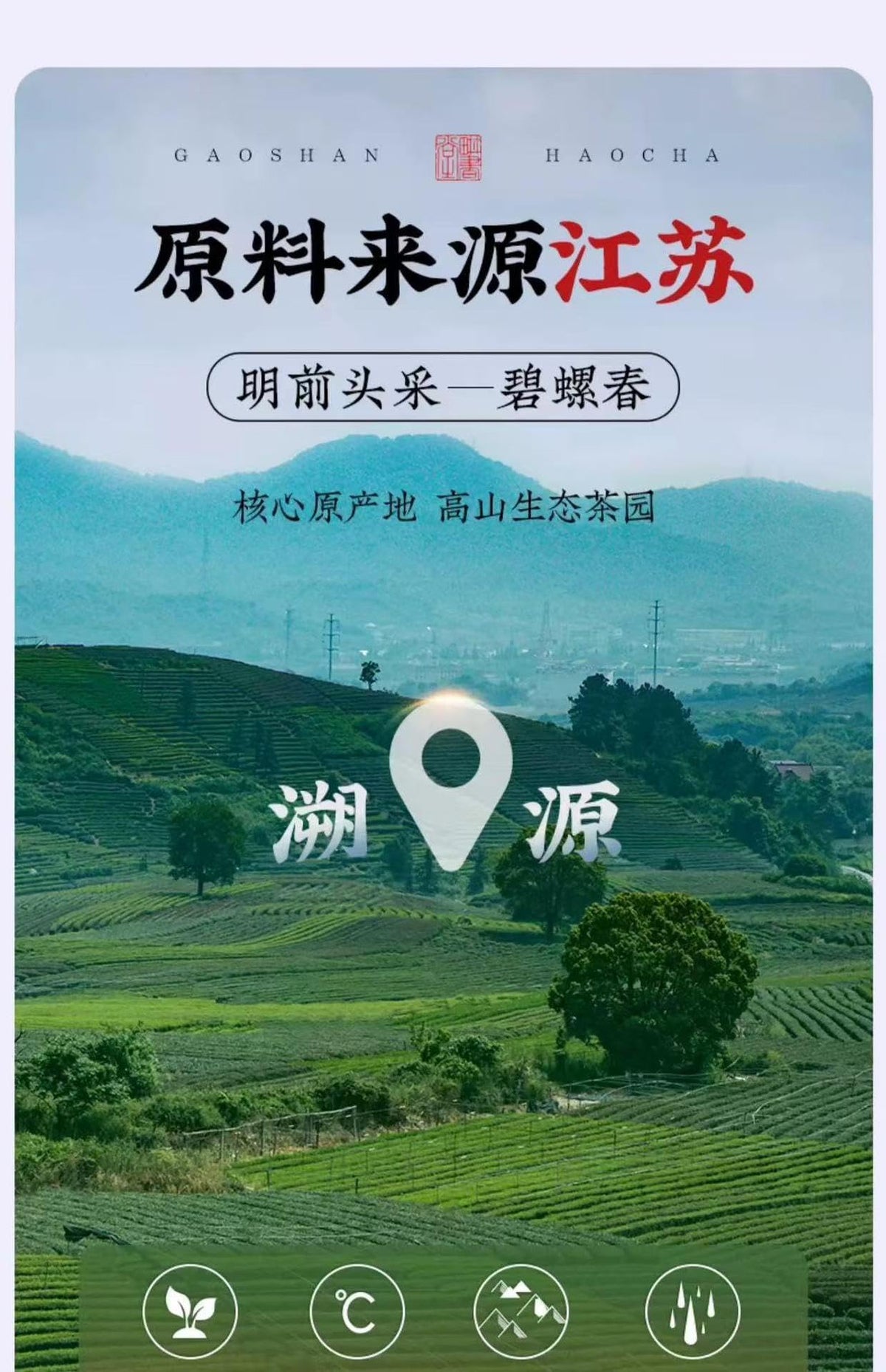 Chinese green tea,white tea,black tea