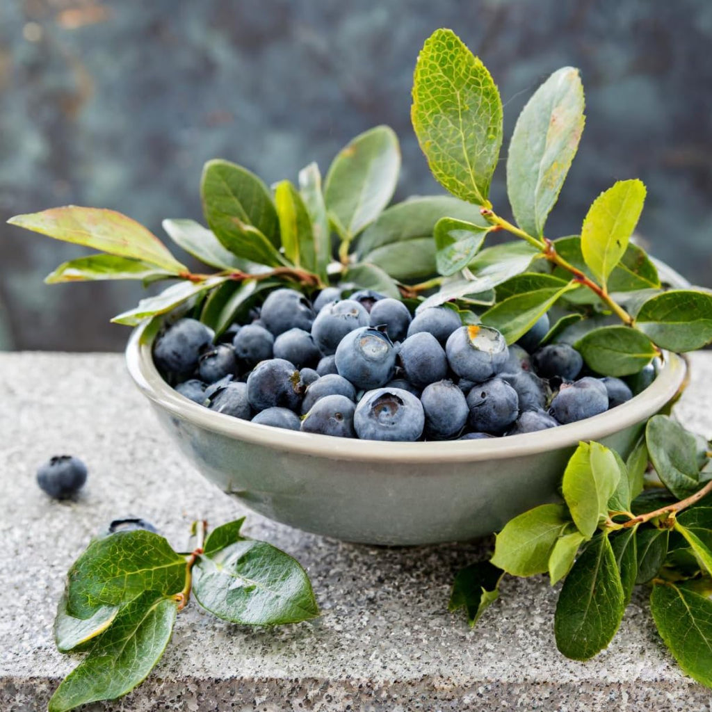 Natural Blueberry Extract 700g, 3-Pack