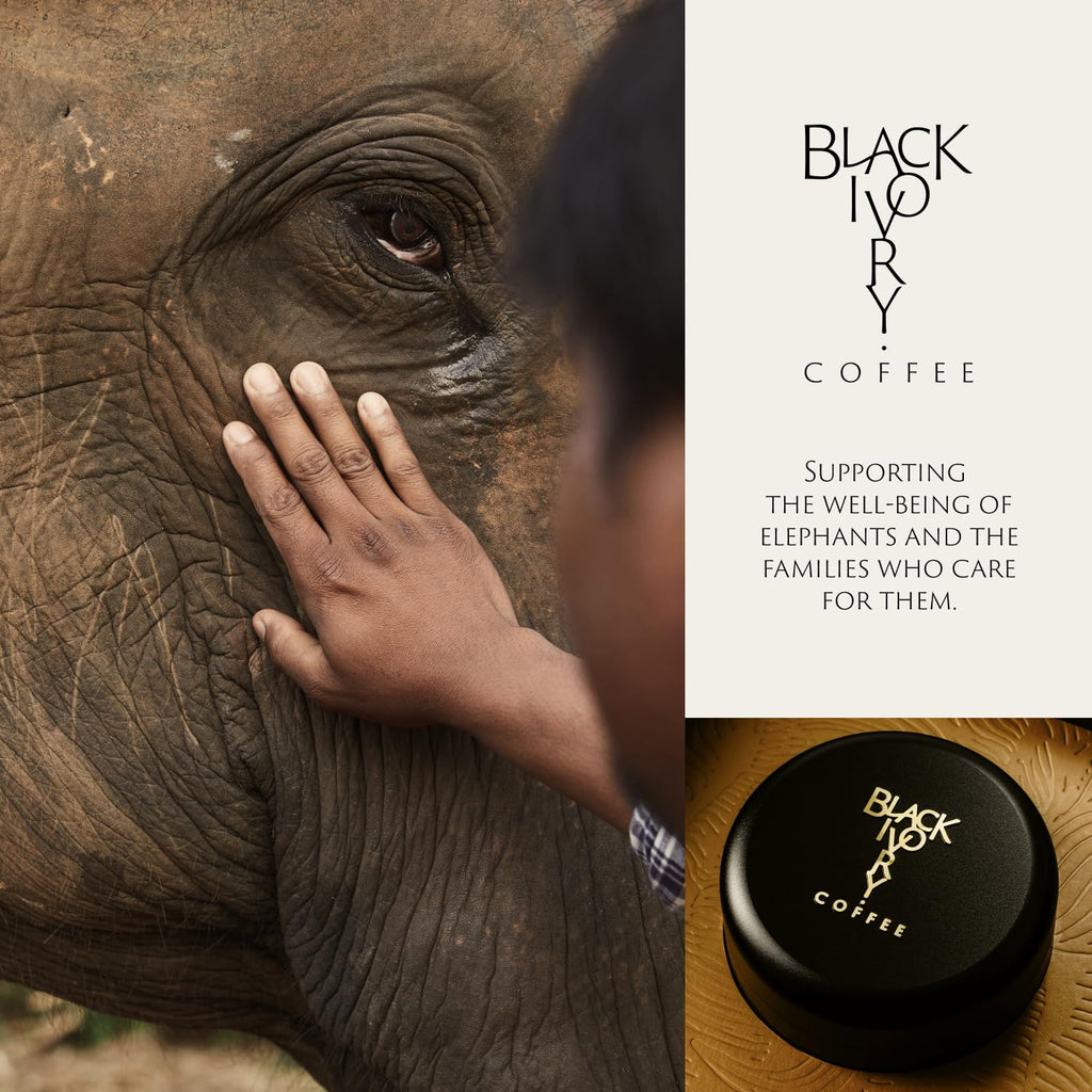 Black Ivory Whole Bean Coffee