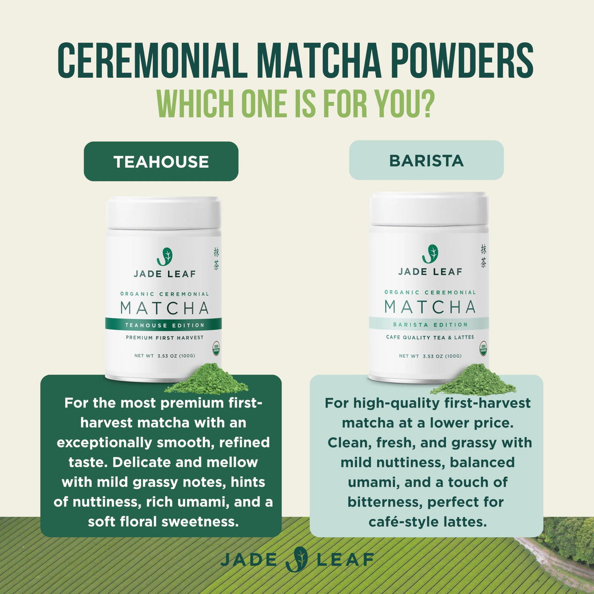 Japanese Matcha Powder