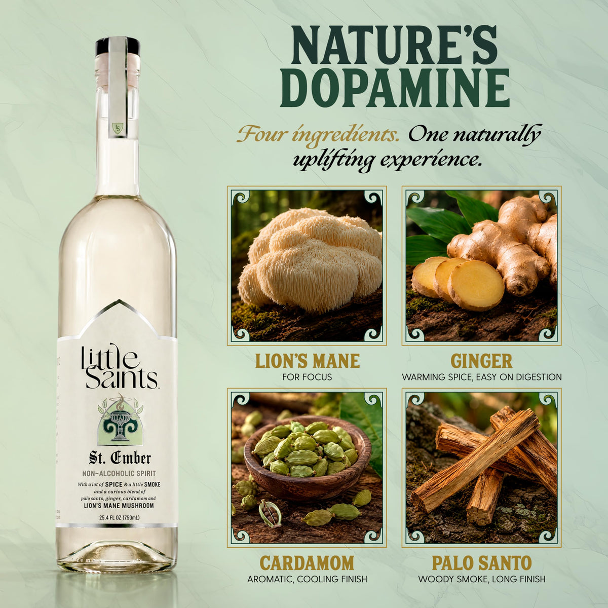 Ready-to-Drink Non-Alcoholic Mocktails
