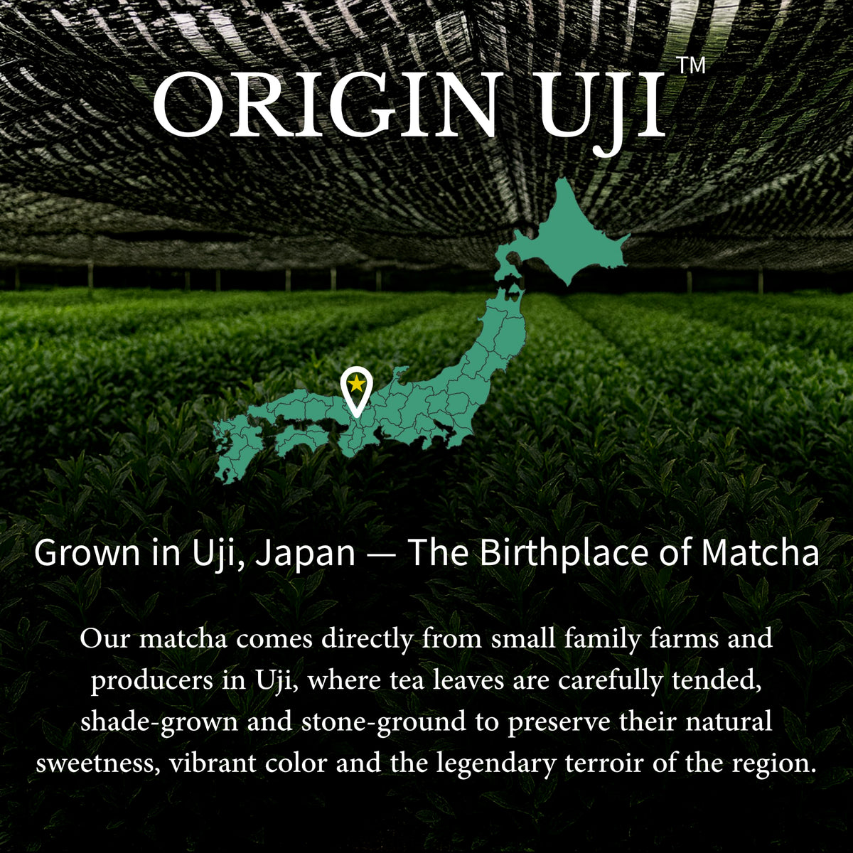 Uji Ceremonial Matcha Green Tea Powder